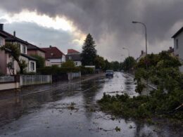 Wohnstrasse nach einem schweren Sommergewitter mit umgestuerztem Ast