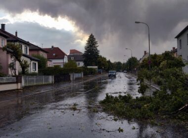 Wohnstrasse nach einem schweren Sommergewitter mit umgestuerztem Ast